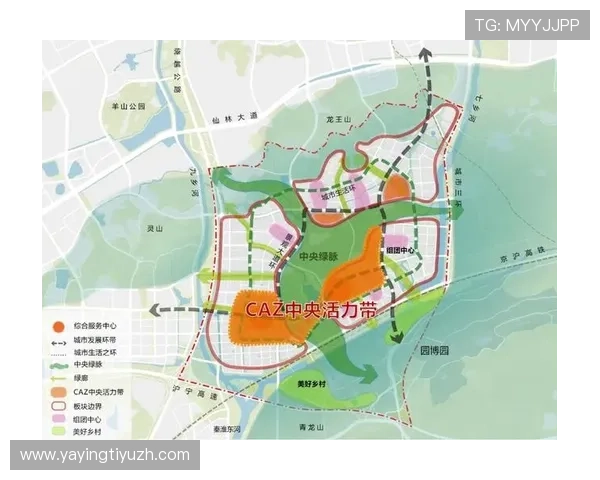 伟德软件技术团队揭秘创新研发背后的核心动力与未来规划