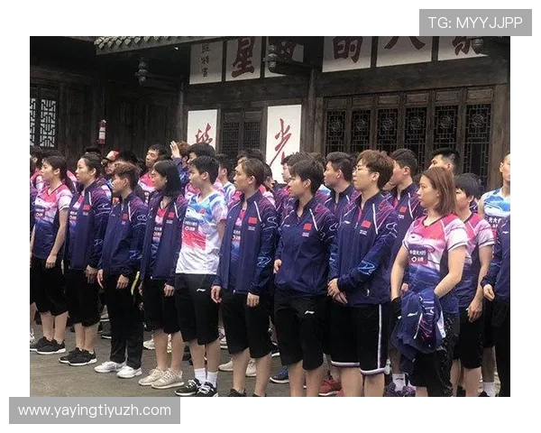 V体育平台优缺点全面分析：帮助用户做出明智的选择